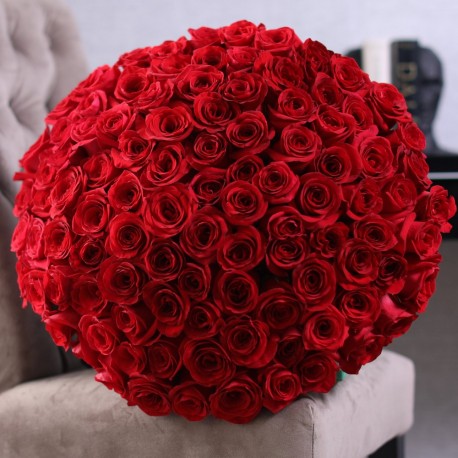 The BIGGEST and BEST you can Get