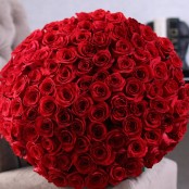 The BIGGEST and BEST you can Get